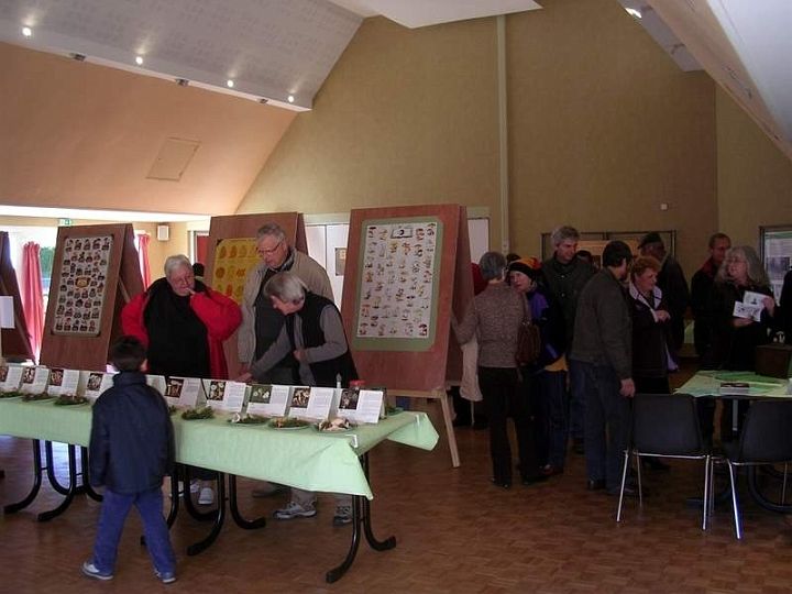 Expo champignons a St Leger 54